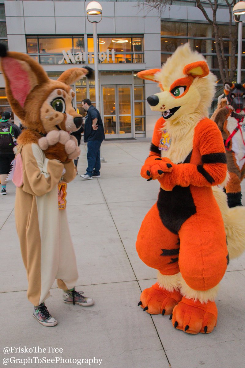 FriskoTheTree's tweet photo. A wild arcanine appeared! It was so cute, I just had to try to catch it! Thank you for the pics @dogbutwithfire π₯
πΈ GraphToSeePhotography on IG
#FurCon #FurCon2020 #FurtherConfusion #Frisko #FriskoTheTree #FursuitPlz #FursuitsPlz #GraphToSeePhotography #FursuitFriday #Fursuit https://t.co/q6vBJl8Fza