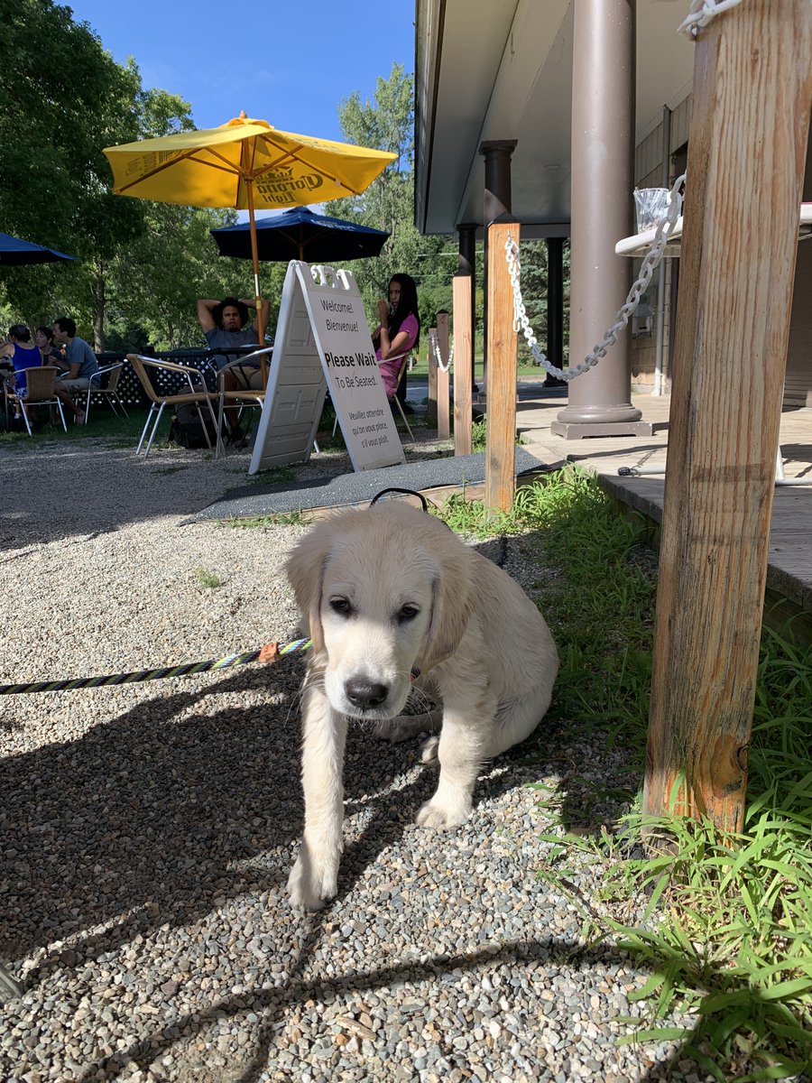 BeachHouseVT tweet picture