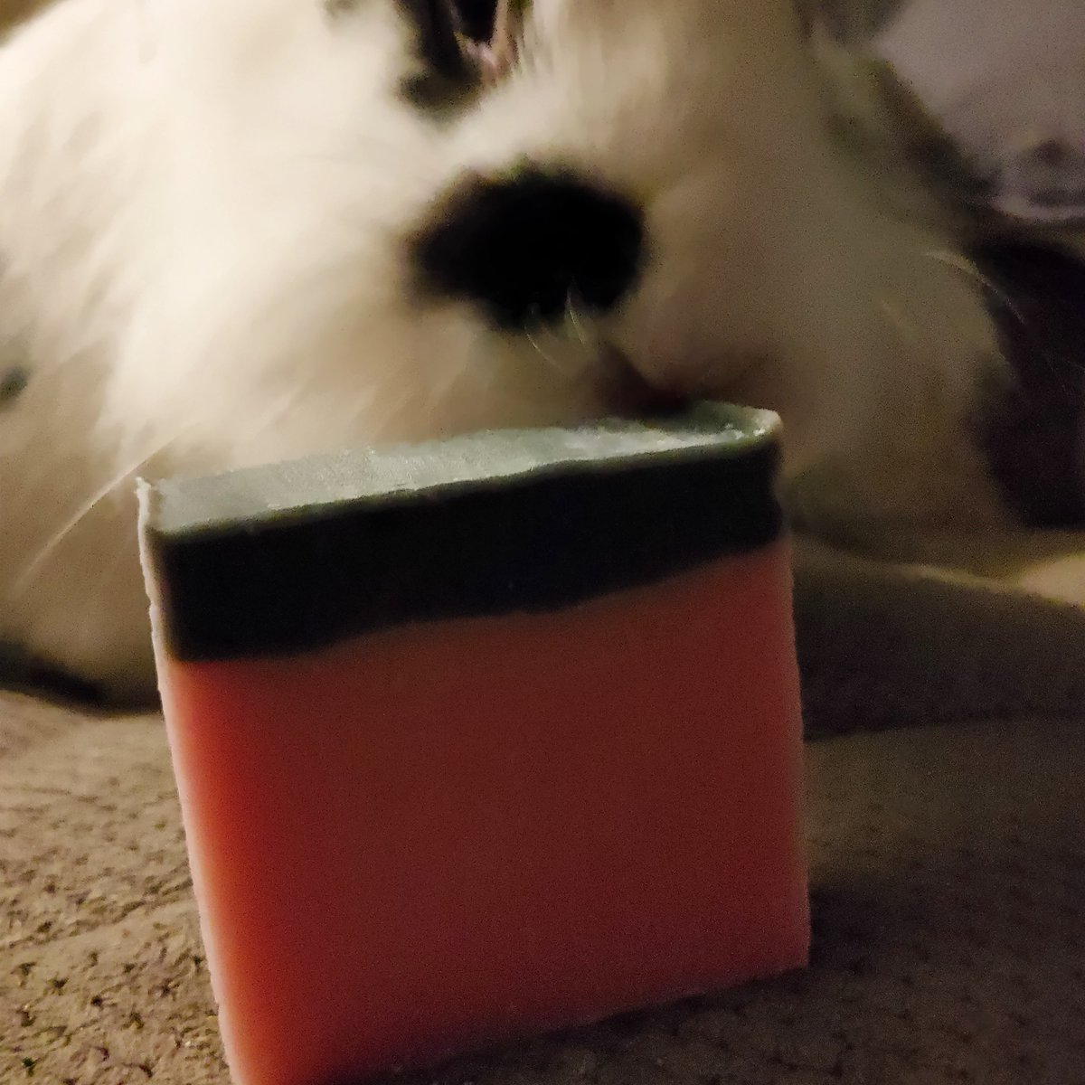 cleanbunnysoaps's tweet photo. Lilac, literally already out of stock. https://t.co/5LmsW257RR