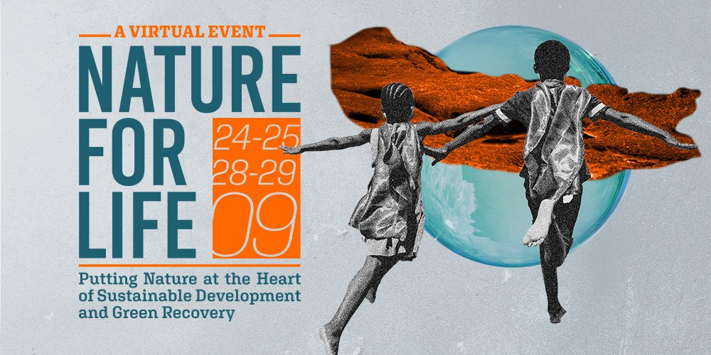 UN Environment Programme tweet media