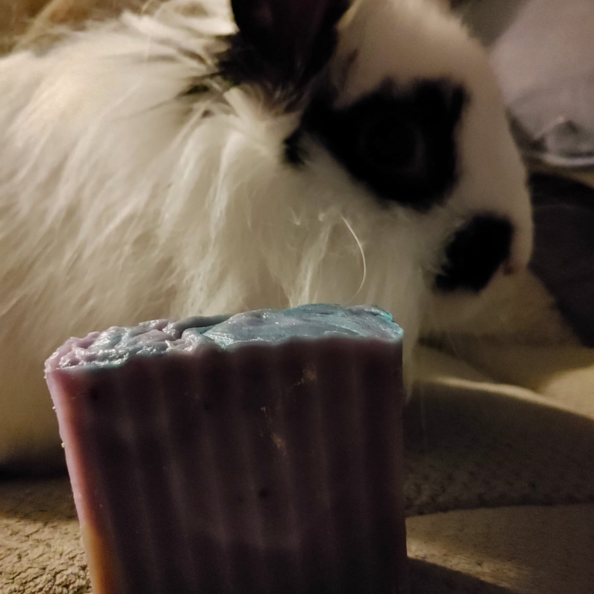 cleanbunnysoaps's tweet photo. Dark kiss, a bbw dupe, 5$ + shipping https://t.co/UT7fNP2khA