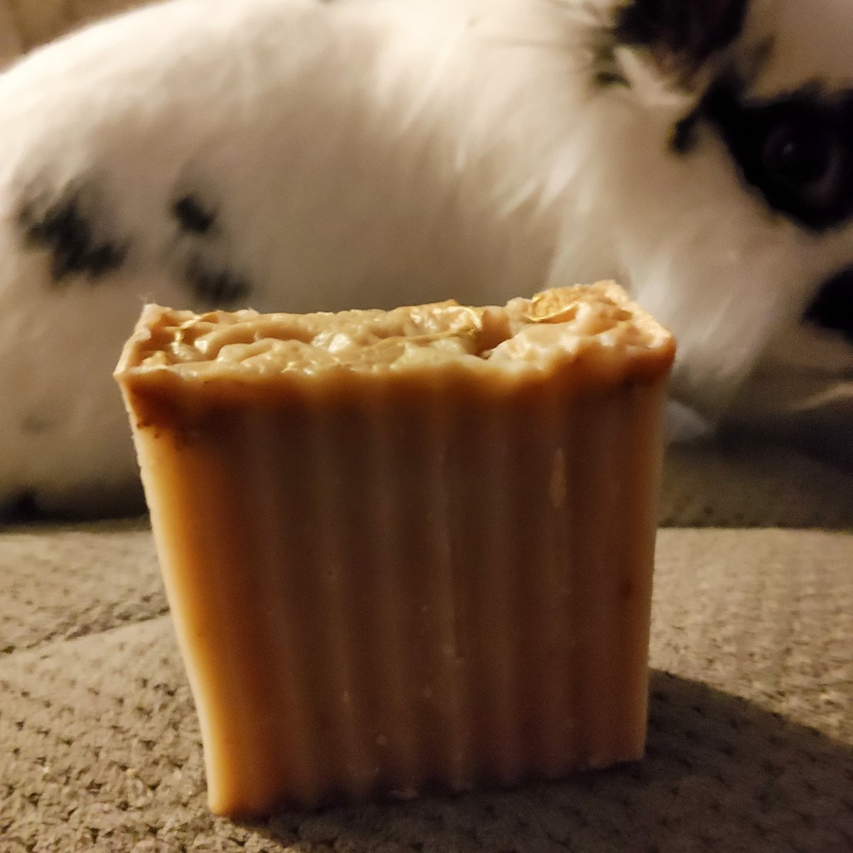 cleanbunnysoaps's tweet photo. Oatmeal and honey, great for irritated skin. 5 dollars + shipping https://t.co/ymmKcBkYH6