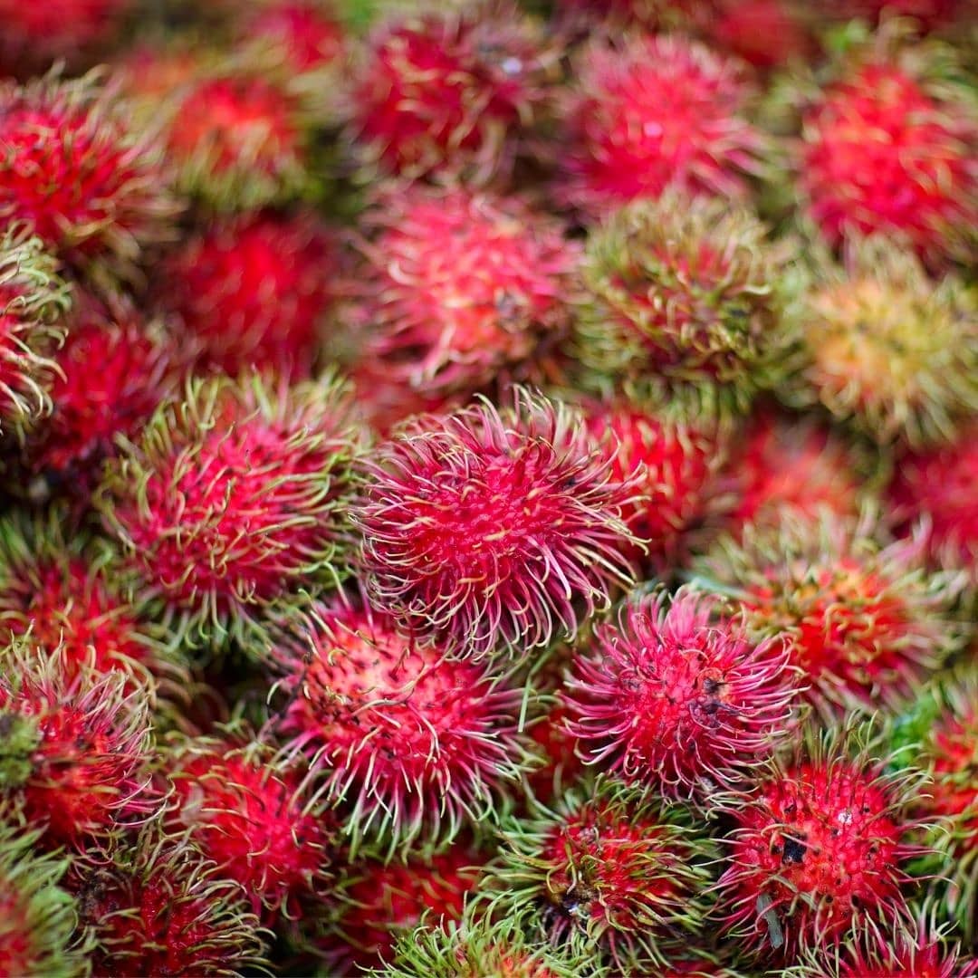 FruberriesCo's tweet photo. El Rambutan o Mamoncillo chino fortalece los huesos y aumenta la producción de glóbulos rojos y blancos. 

Sabían que hay varios colores?🧡🔴 https://t.co/oRe2q1bKoj