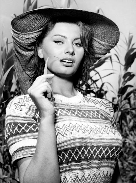 darcastillo's tweet photo. la siempre bella sofia loren es la invitada de honor a engalanar el personaje del mes en la nueva edición de https://t.co/hUu7ZAJdvv https://t.co/NOuULxVuaz