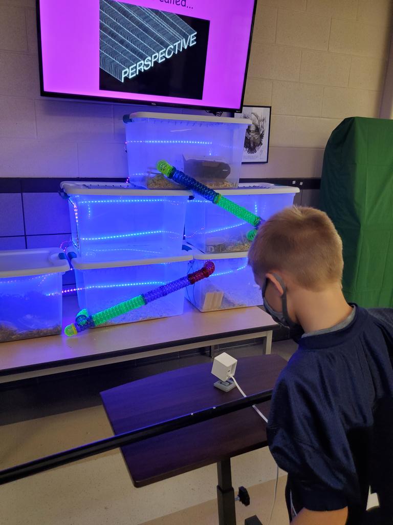 careyelementary's tweet photo. Check out our live Humphrey and Og camera #careyrocks #ohprinchat https://t.co/c4qMF83zNm