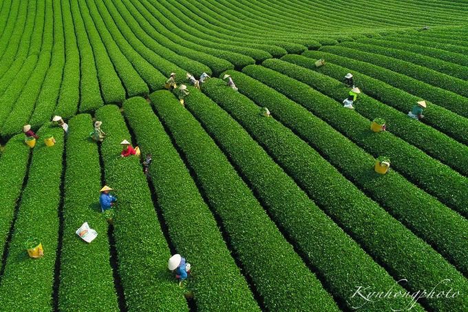 EmpressOrient's tweet photo. ❗ LES ENDROITS À NE PAS MANQUER À MOC CHAU ❗

https://t.co/JHOauQ7zYF

#STAYCATION #travel #voyage #vietnam #mocchau #laos #cambodge #birmanie #myanmar
📸 Photo : Internet https://t.co/Eje4PIIT1e