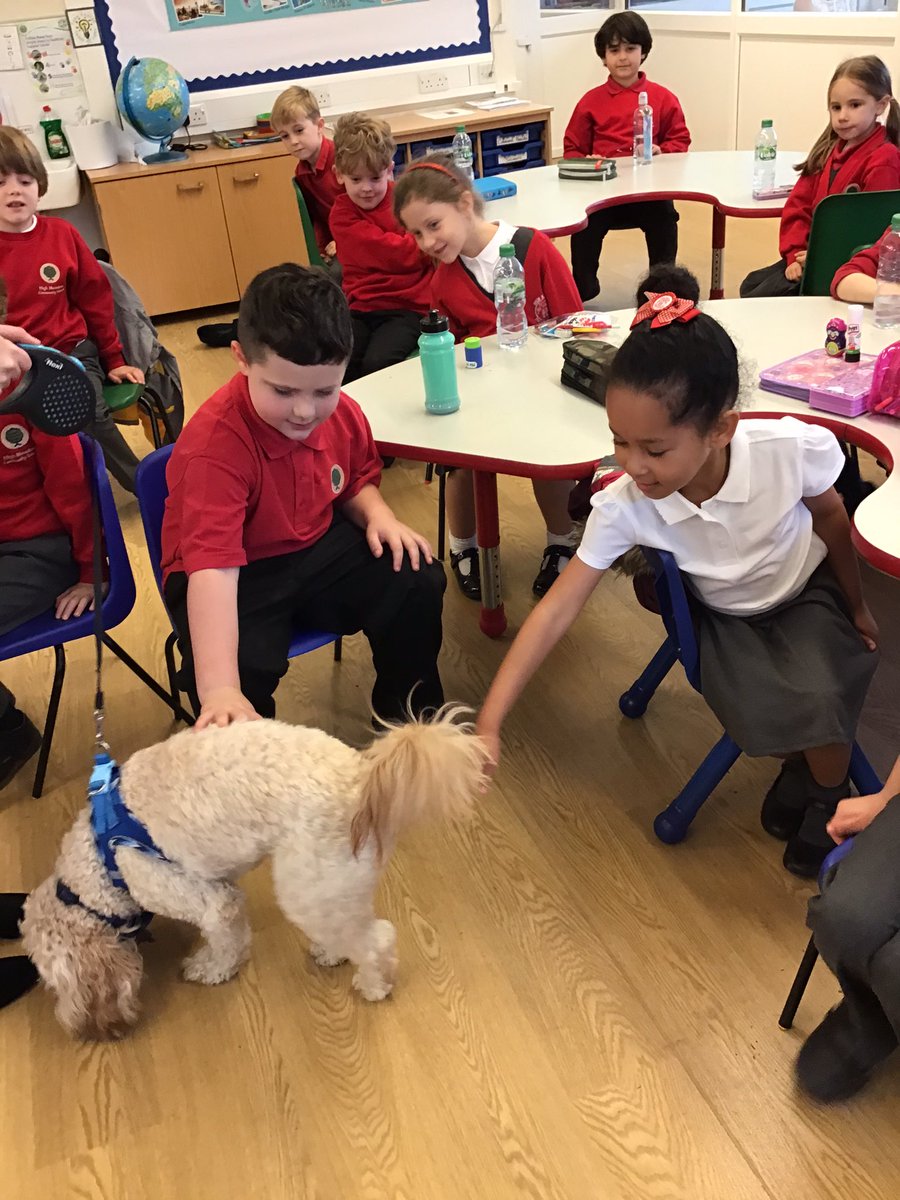 BarnOwls_HMCS's tweet photo. We’ve missed you @Teddy_HMCS!! ❤️🐶 #schooldog #dogs #Wellbeing https://t.co/BBsvjx172J