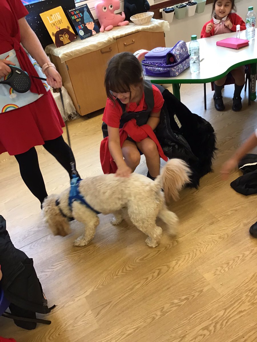BarnOwls_HMCS's tweet photo. We’ve missed you @Teddy_HMCS!! ❤️🐶 #schooldog #dogs #Wellbeing https://t.co/BBsvjx172J