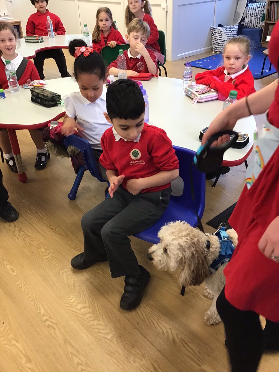 BarnOwls_HMCS's tweet photo. We’ve missed you @Teddy_HMCS!! ❤️🐶 #schooldog #dogs #Wellbeing https://t.co/BBsvjx172J