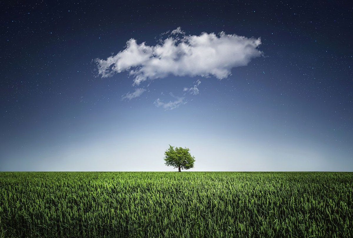 askleadent's tweet photo. Keep heading towards the cloud - why should you and what you should consider in heading there? Read this blog...

https://t.co/2k3KvASJiK

#cloud #CloudComputing #technology #SaaS https://t.co/3O8ksbkbbx