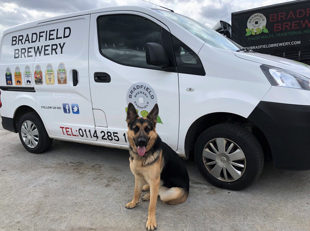 BradfieldBrew's tweet image. Happy Birthday to our youngest four pawed #teammember who's 1 today! #firstbirthday #brewerydog #happybirthday