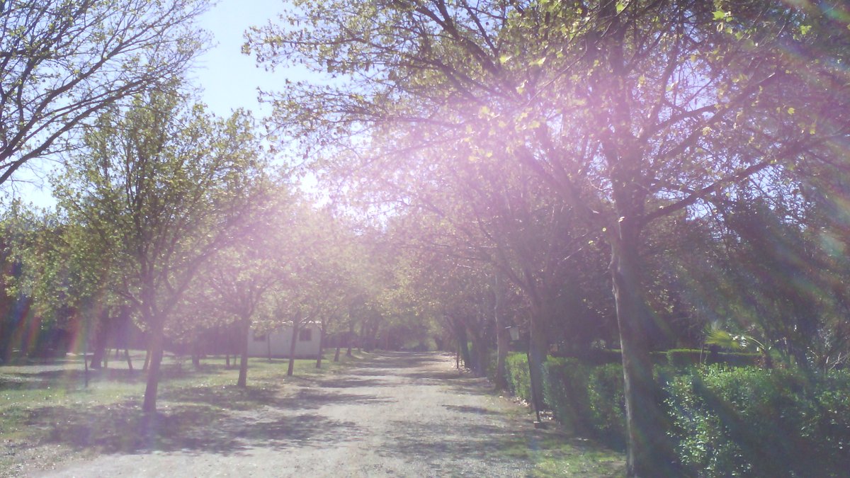 KAracena2's tweet photo. Los Andes, Chile // Santuario de Santa Teresa. 
Enorme terreno para disfrutar de la paz y tranquilidad #SantaTeresadeLosAndes #Chile #Silencio https://t.co/rEK6R2HdE8