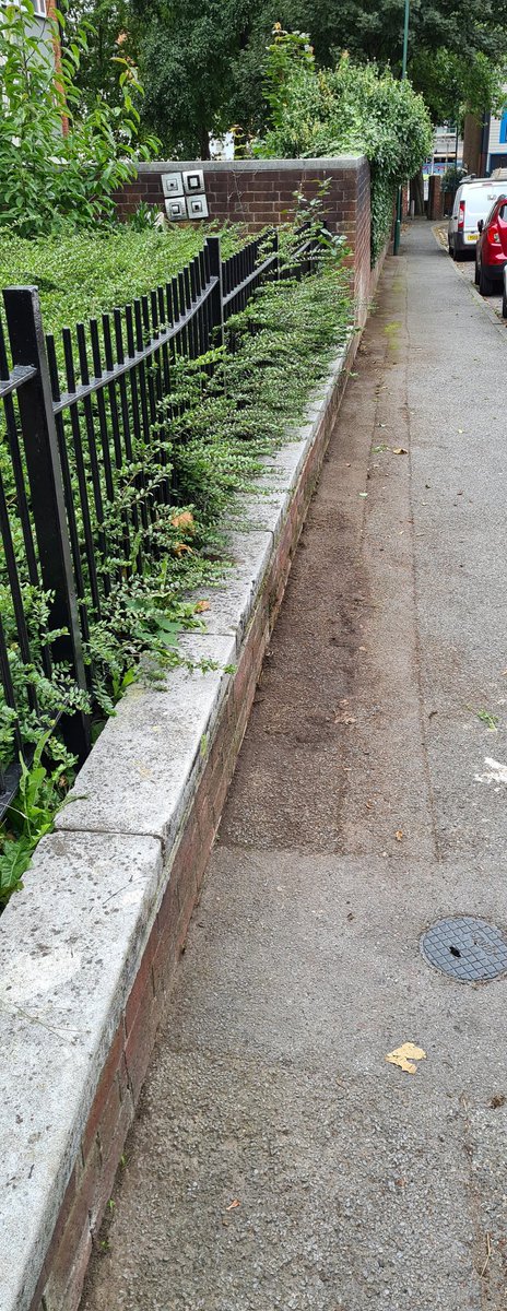 MarieMcglinchey's tweet photo. I appreciate there is a pandemic @MyNottingham @MyStAnns @nottmcityhomes but surely we still need to take pride in where we live Maybe a social distance ward walk is needed #operationcleanup #doingitourselves #takeprideinourneighbourhood #Sneinton #StAnnsward https://t.co/yygD7ZANmJ