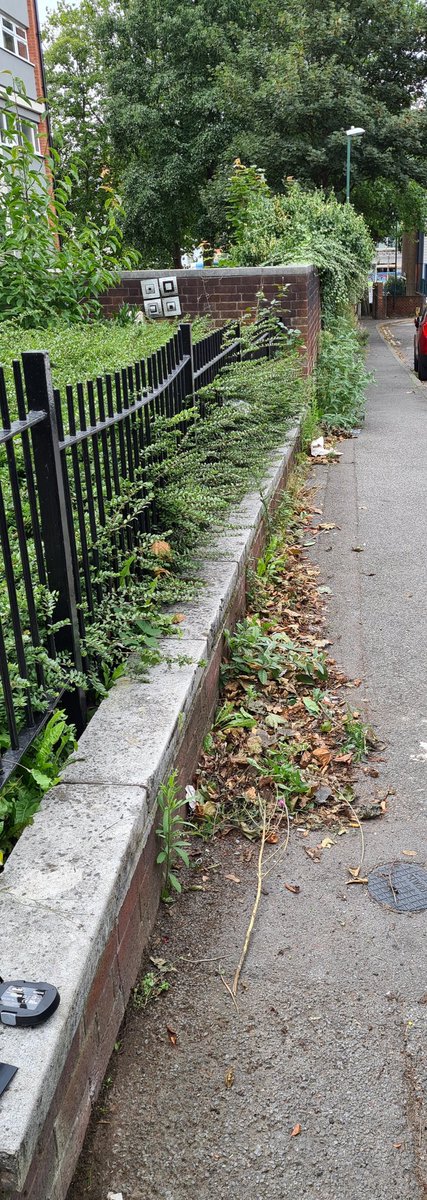 MarieMcglinchey's tweet photo. I appreciate there is a pandemic @MyNottingham @MyStAnns @nottmcityhomes but surely we still need to take pride in where we live Maybe a social distance ward walk is needed #operationcleanup #doingitourselves #takeprideinourneighbourhood #Sneinton #StAnnsward https://t.co/yygD7ZANmJ