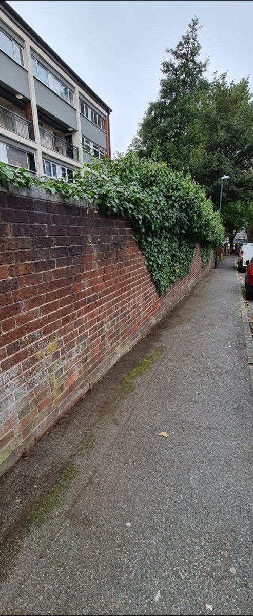MarieMcglinchey's tweet photo. I appreciate there is a pandemic @MyNottingham @MyStAnns @nottmcityhomes but surely we still need to take pride in where we live Maybe a social distance ward walk is needed #operationcleanup #doingitourselves #takeprideinourneighbourhood #Sneinton #StAnnsward https://t.co/yygD7ZANmJ