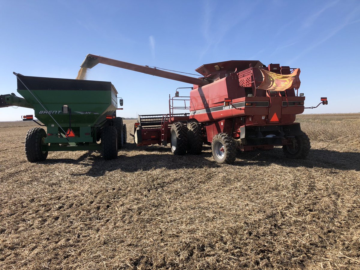 CycloneATH's tweet photo. From the crop fields to the football field, Cyclone Nation is farm strong. Show us how you represent Iowa State on your farm using #CyFarm for the chance to win an ISU hat! 🚜💪 https://t.co/sWxmRFyI82