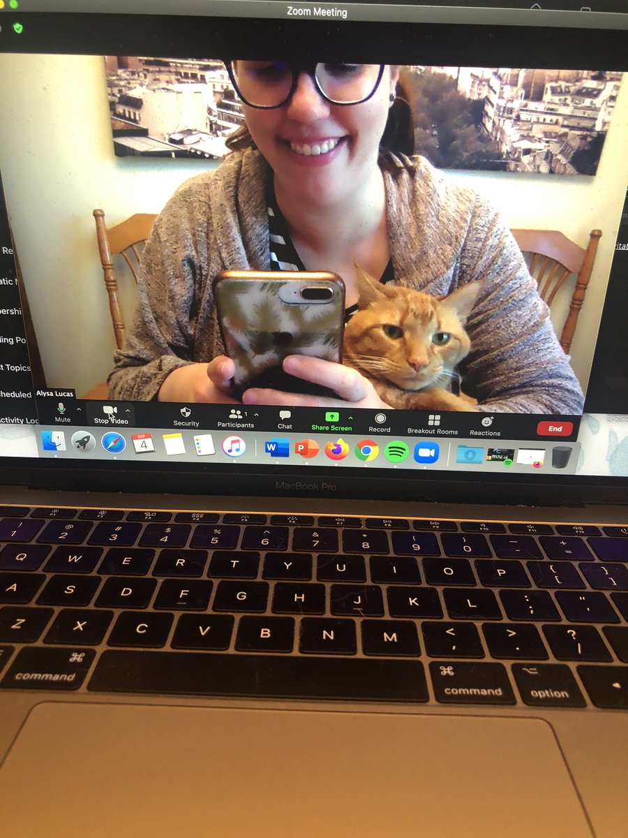dralysalucas's tweet photo. Whoever said cats shouldn't be on Zoom meetings is seriously mistaken! Look at this cutie helping me meet with Theory students this morning! #CatsRule #CatsOnZoom #CatsOfTwitter #TheoryIsCool https://t.co/X2r3HJeC7c