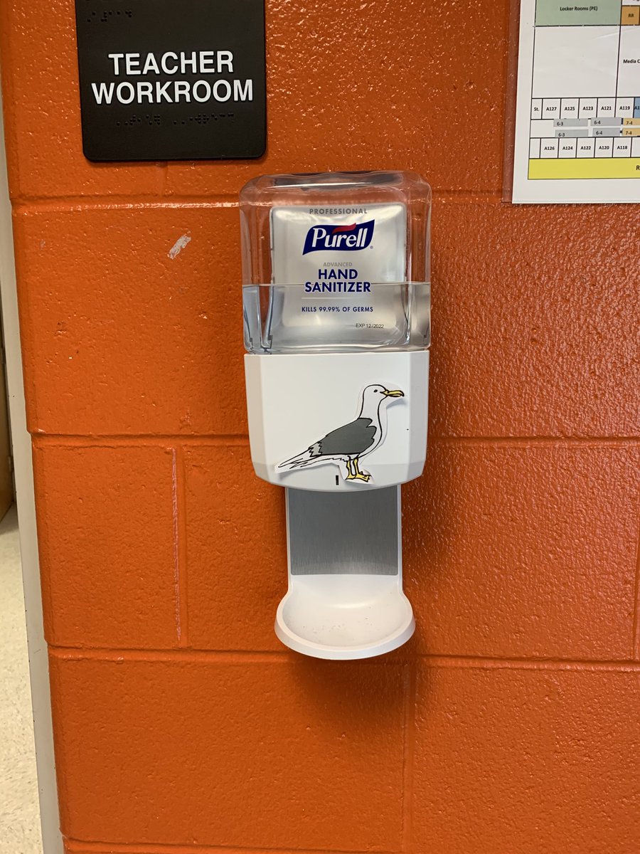 Tmaddox4's tweet photo. ⁦@RFBumpus⁩ clearly I’ve been in middle school too long because a pigeon squirting out hand sanitizer is just not unusual to me. #AnythingIsPossible #FridayHumor #LaughInsteadofCry https://t.co/vUebrr6qmn