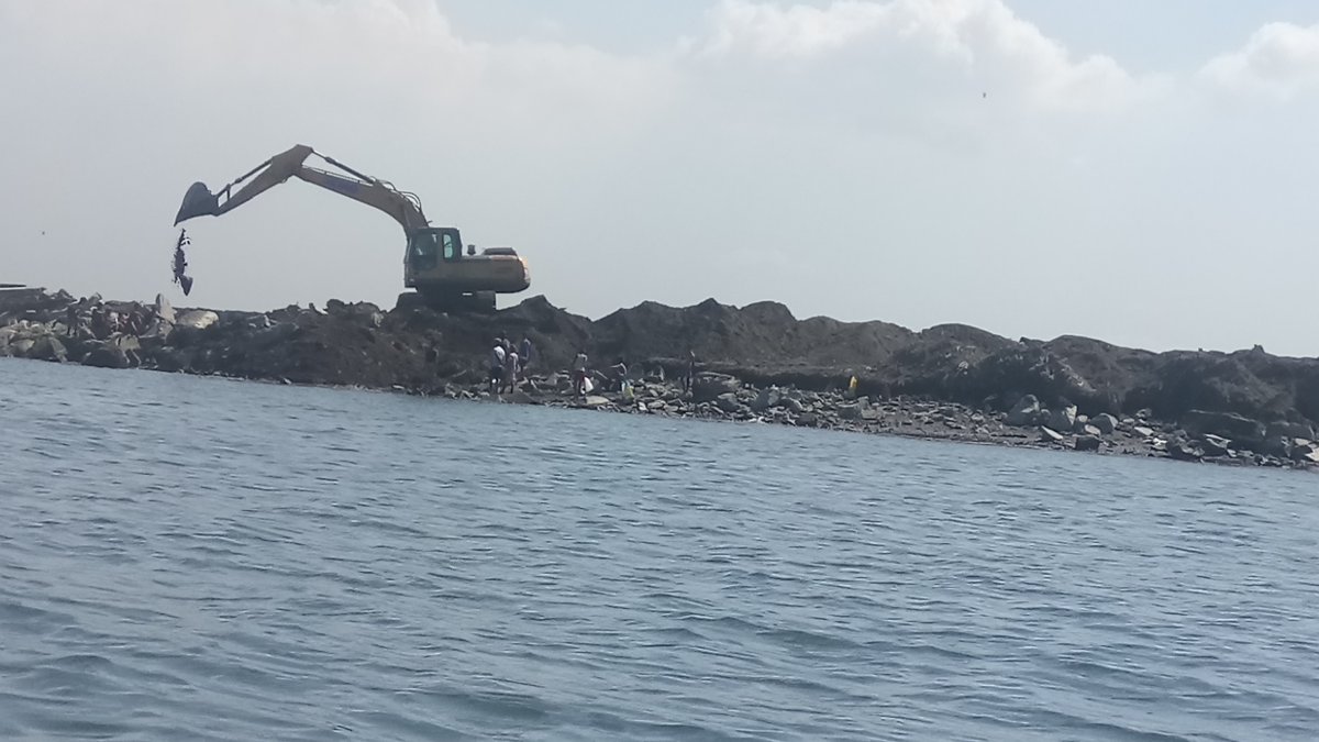 Thousands of hectares of Manila Bay mangroves were destroyed before to give way to reclamation. From decades ago until 1995, mangrove areas used to cover 54, 000 hectares but they have significantly shrunk to 2,000 hectares and at present, only less-than-a-500-hectare is left.