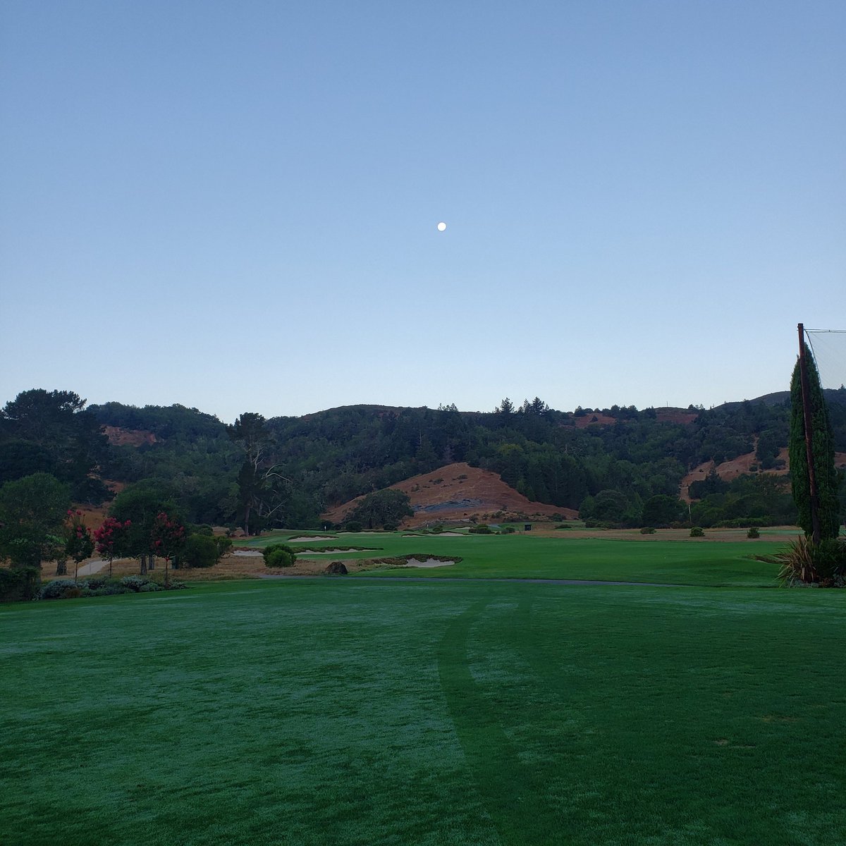 KevinHauschel's tweet photo. Happy Friday!! Perfect morning, crew is out preparing the course for the holiday weekend!! 2x Roll on greens, fwys mowed, aprons mowed, Cups Changed, Tees Serviced!! Course has recovered well from aerification! Bring on tournament season! @meadow1927 #alwaysimproving #norcalgolf https://t.co/3DSaFYB2Km