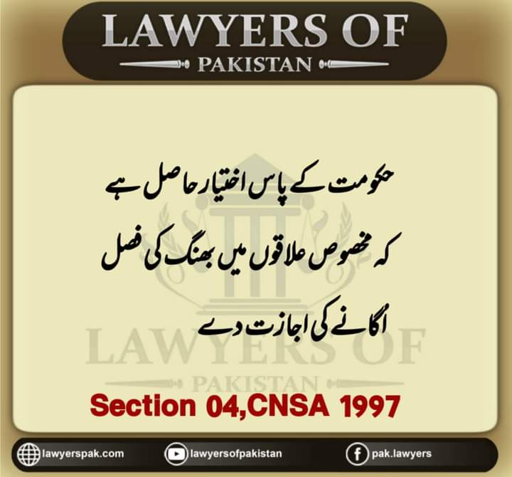LappyTipsTrick's tweet photo. @betterpakistan اسکی عقل پر ماتم کرنے کو دل کرتا ہے. بغض کا مارا یہ انسان https://t.co/El5iVxgRNO