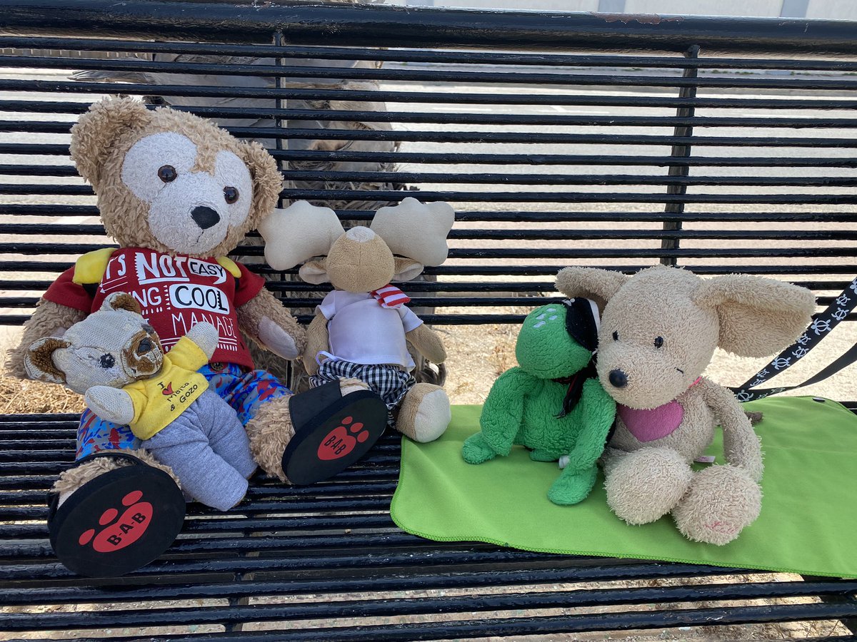 Big Turtler and the fluffy immigrants  tweet media