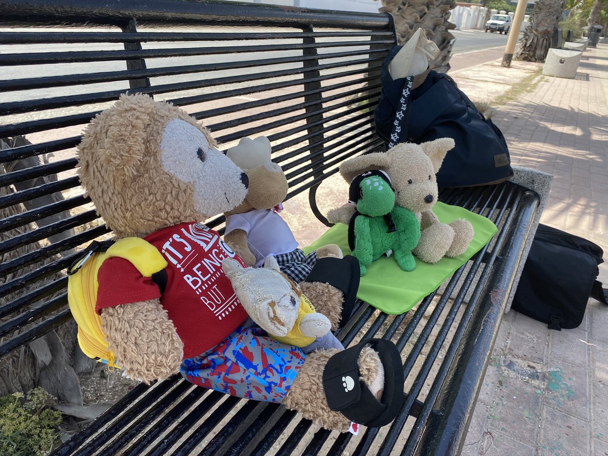 Big Turtler and the fluffy immigrants  tweet media