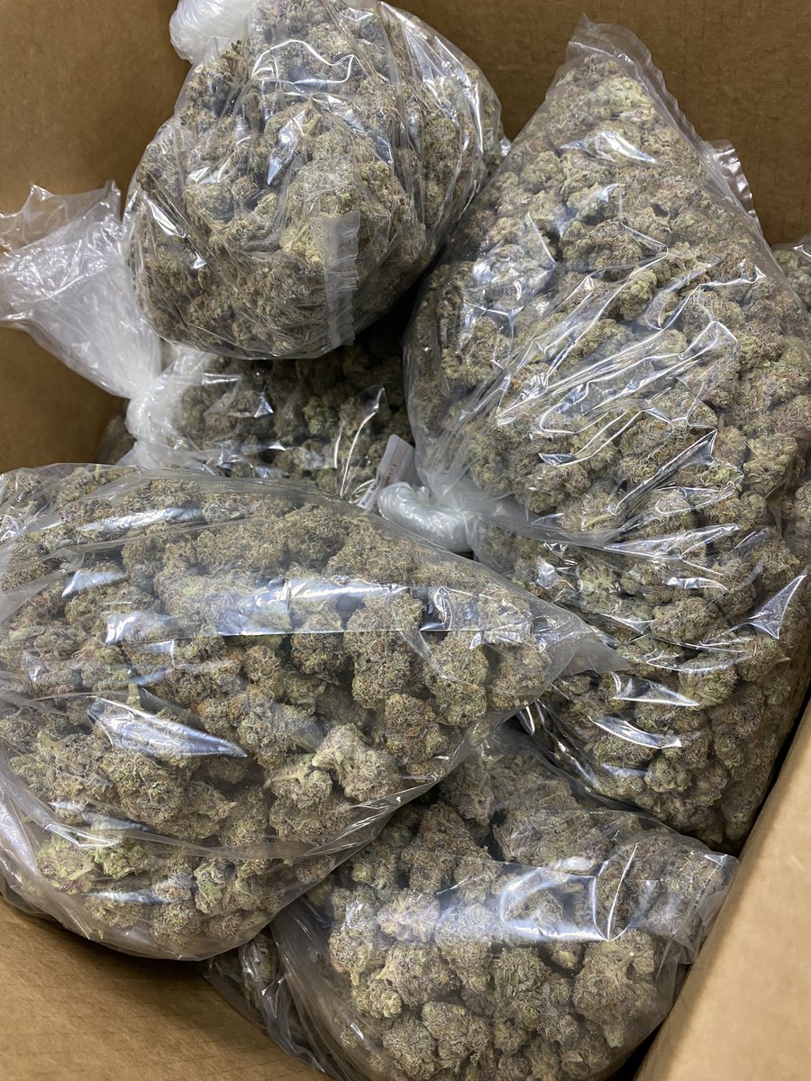 zackmonday's tweet photo. Getting the #KushMints prepped to fill a #FloraCal order #MercyPack #MercyFam https://t.co/7Sgrer0e6R