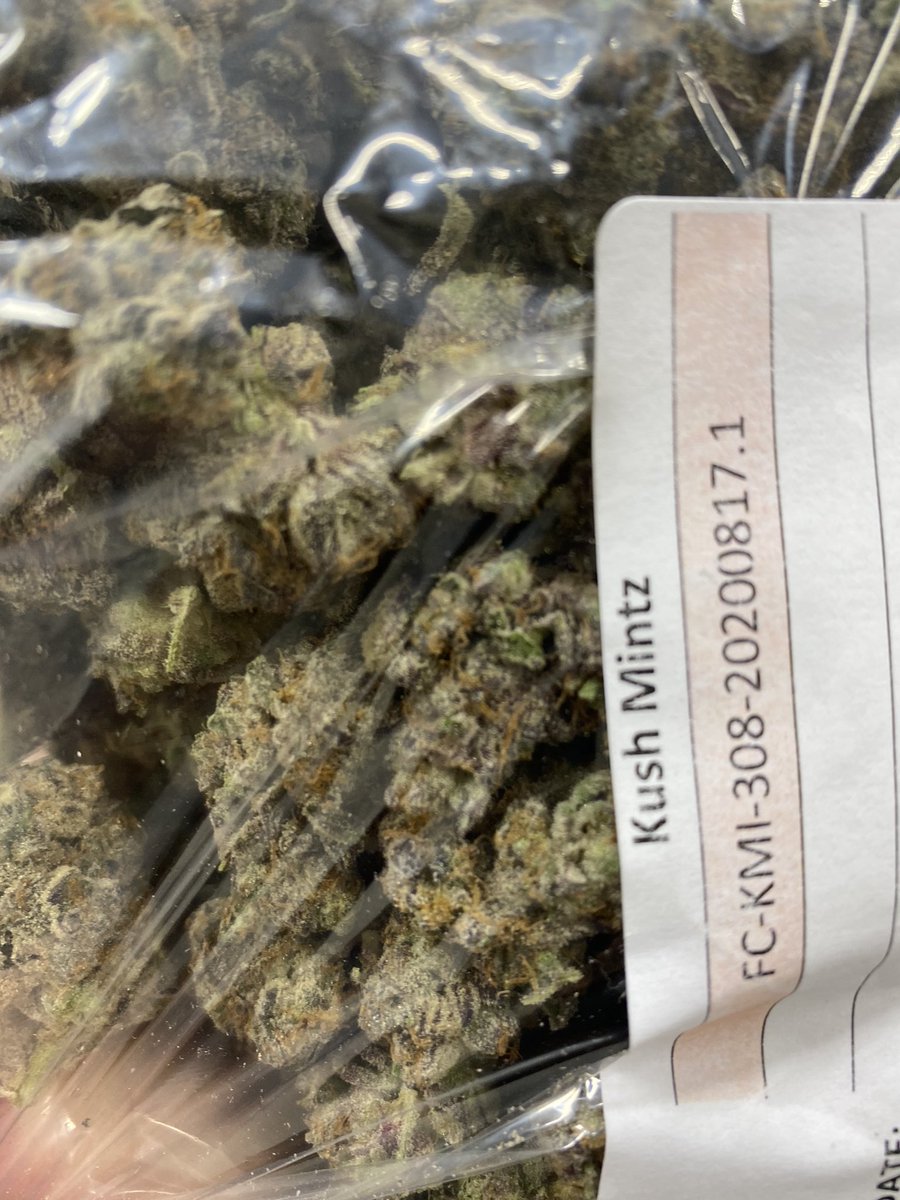 zackmonday's tweet photo. Getting the #KushMints prepped to fill a #FloraCal order #MercyPack #MercyFam https://t.co/7Sgrer0e6R