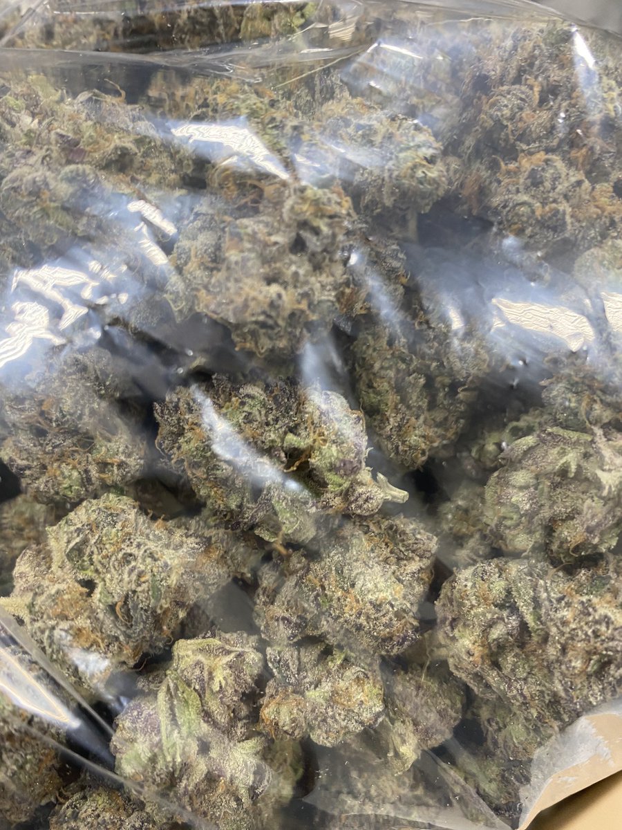 zackmonday's tweet photo. Getting the #KushMints prepped to fill a #FloraCal order #MercyPack #MercyFam https://t.co/7Sgrer0e6R