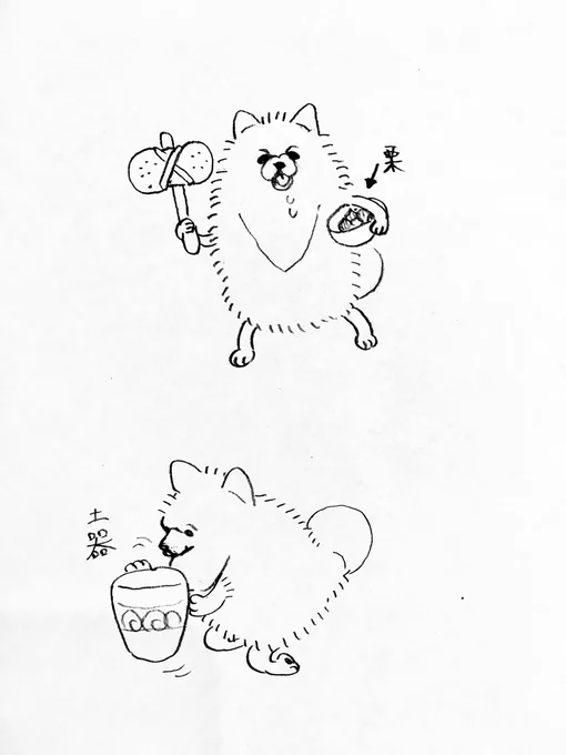 縄文暮らしのポメラニアン 