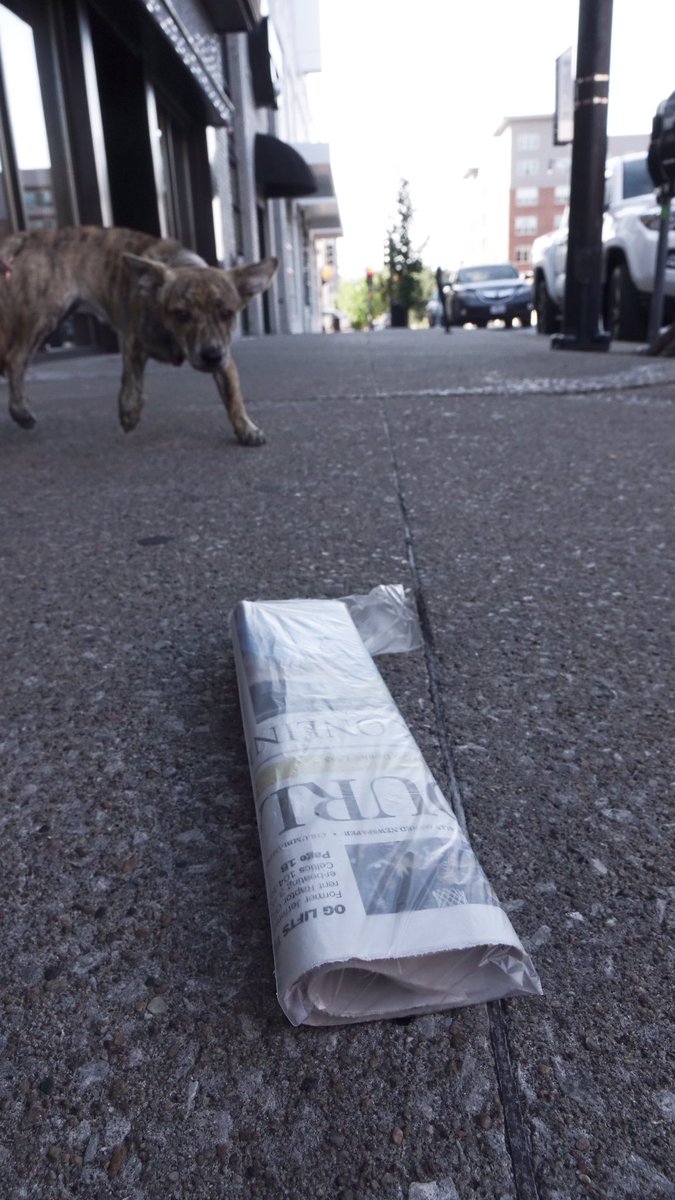 Ready to “eat” the COLUMBIA MISSOURIAN outside the Tiger Barber Shop on the 9th Street, honey?