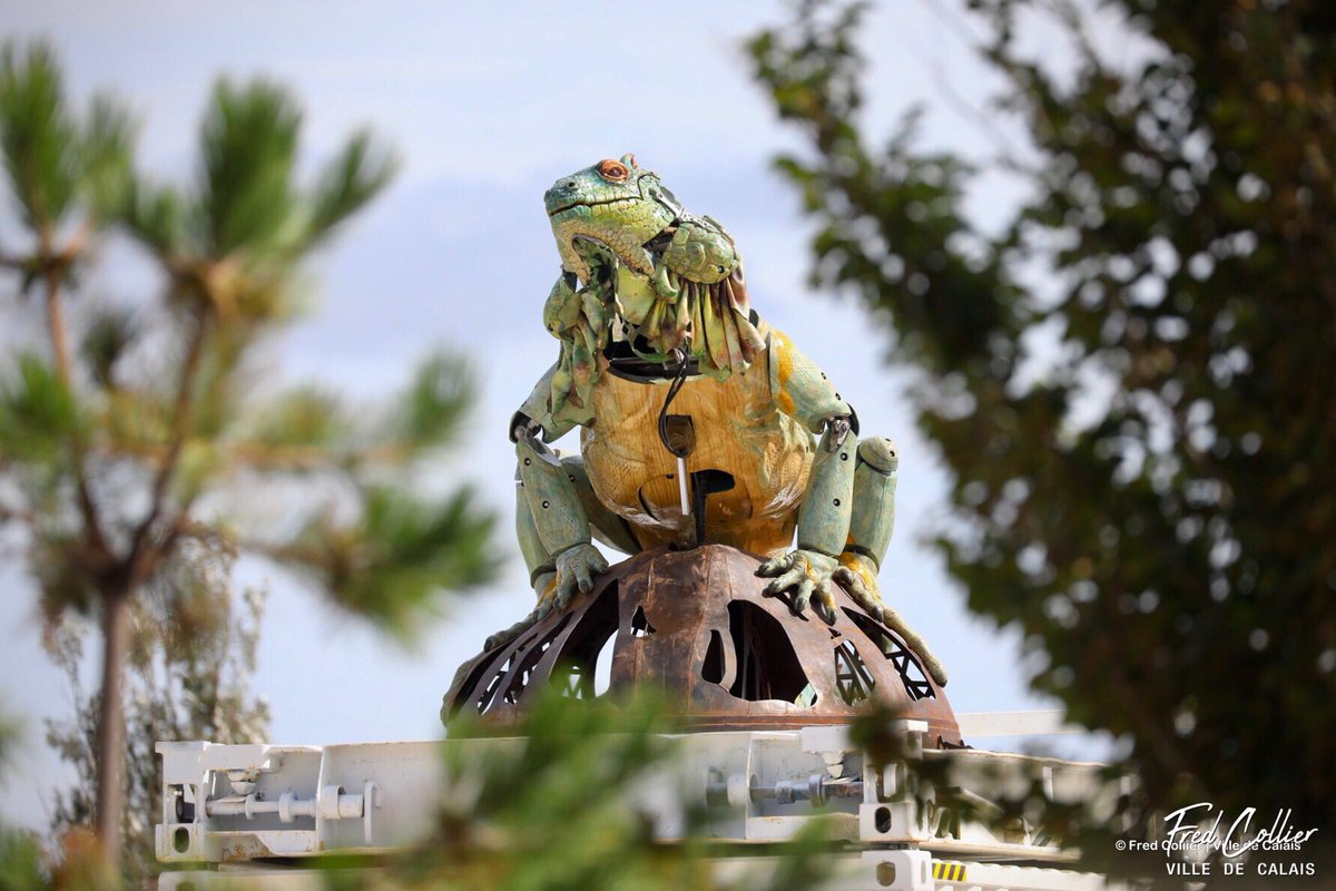 CollierFred's tweet photo. L’iguane sentinelle a répondu à l’appel du dragon de Calais et l’a rejoint dans son antre de la plage...

#calais #cotedopale #pasdecalais #hautsdefrance #dragondecalais #iguanesentinelle @CompagnieDragon @lamachinefr https://t.co/JndQ5mjTQ1