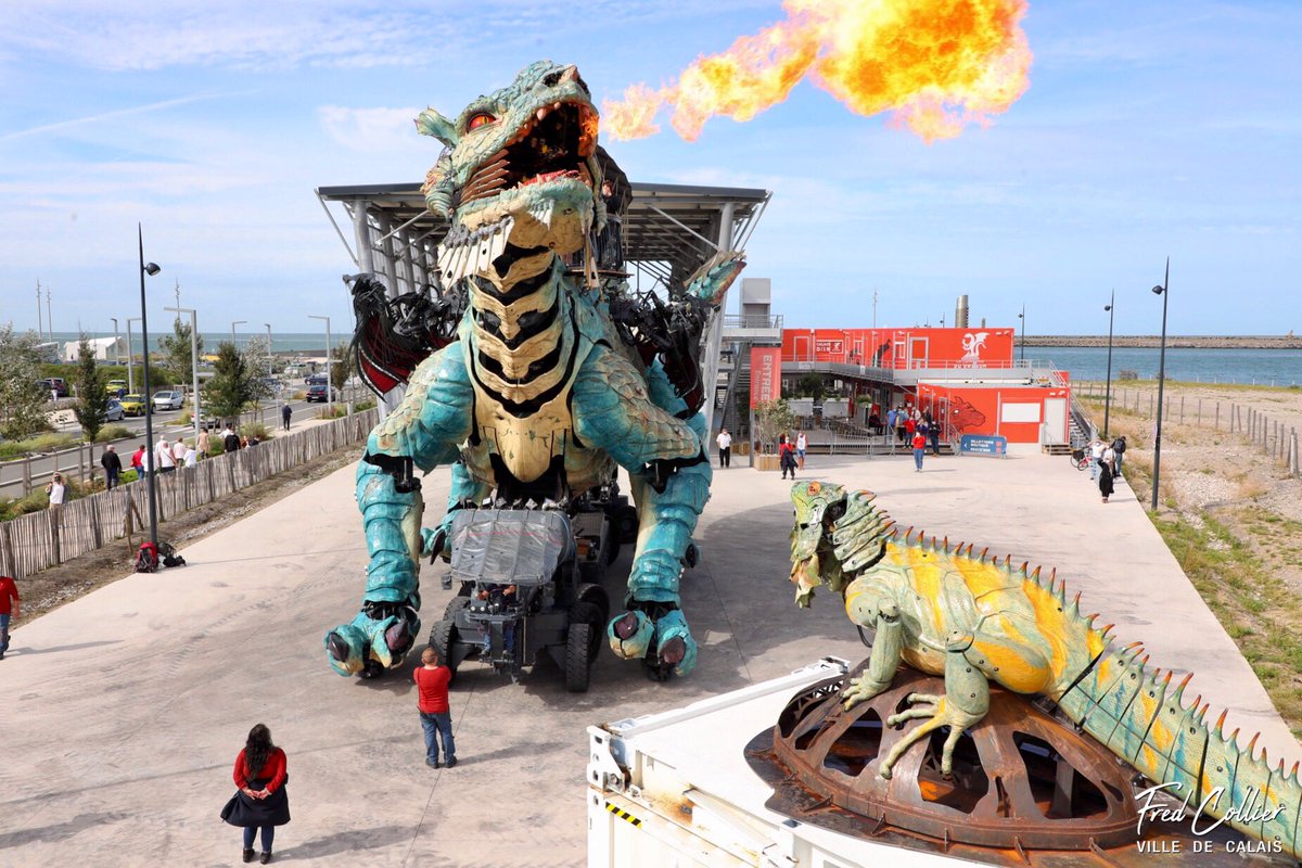 CollierFred's tweet photo. L’iguane sentinelle a répondu à l’appel du dragon de Calais et l’a rejoint dans son antre de la plage...

#calais #cotedopale #pasdecalais #hautsdefrance #dragondecalais #iguanesentinelle @CompagnieDragon @lamachinefr https://t.co/JndQ5mjTQ1