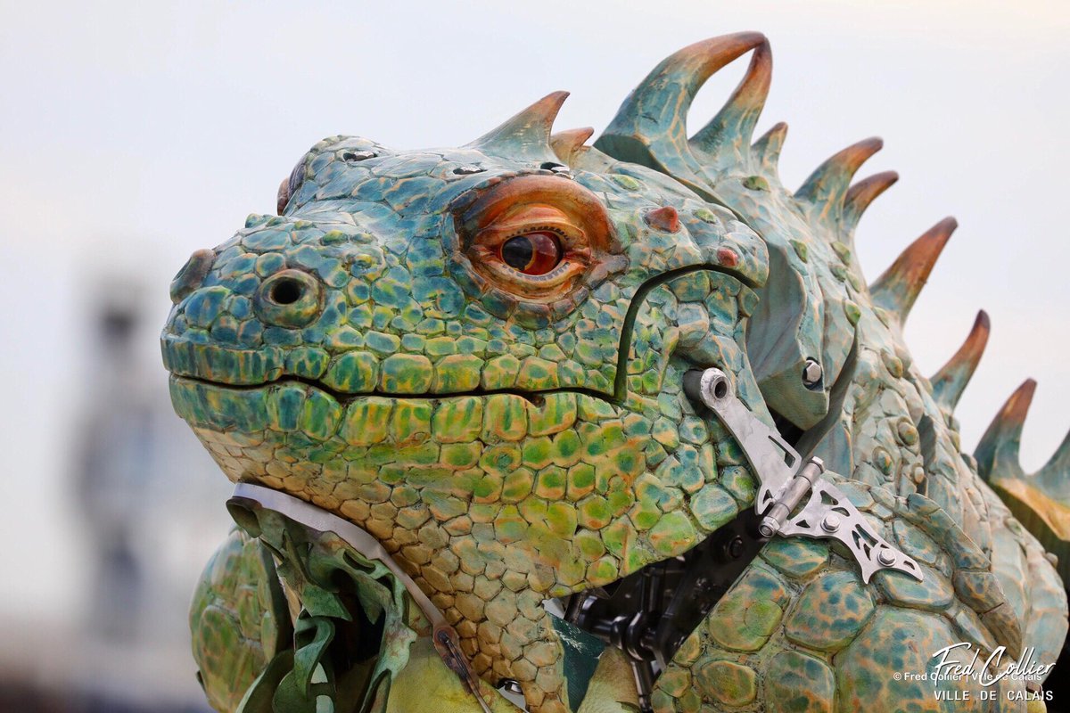 CollierFred's tweet photo. L’iguane sentinelle a répondu à l’appel du dragon de Calais et l’a rejoint dans son antre de la plage...

#calais #cotedopale #pasdecalais #hautsdefrance #dragondecalais #iguanesentinelle @CompagnieDragon @lamachinefr https://t.co/JndQ5mjTQ1