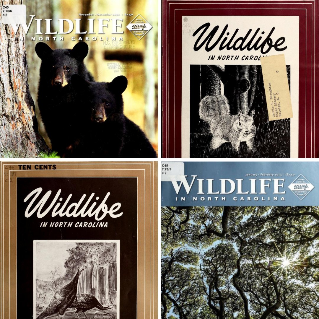 ForEverythingNC's tweet photo. We're wild about digitized issues of Wildlife in NC Magazine! Which cover is your favorite? Find these and issues dating back to 1937 in the NC Digital Collections. https://t.co/o92KiwkwrJ #ArchivesWildlife #ArchivesHashtagParty #EverythingNCDigital https://t.co/EFGPCiZ7gb
