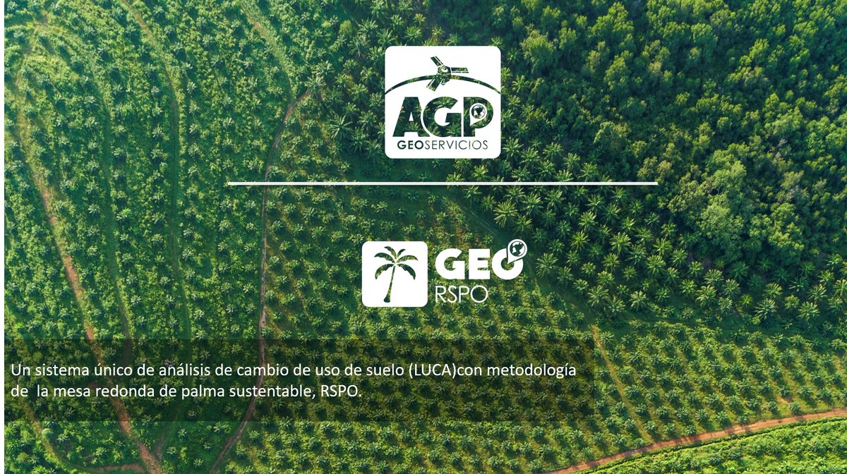 #NuestrosAuspiciantesForo | Conoce más sobre el primer servicio web para trazabilidad, manejo y monitoreo de plantaciones de palma aceitera sustentable.
Más información en👉agpgeo.com/georspo 
 #RSPO #GEORSPO #palmasustentable 
*Anuncio exclusivo de <a href="/AGPgeoservicios/">AGPgeoservicios</a>