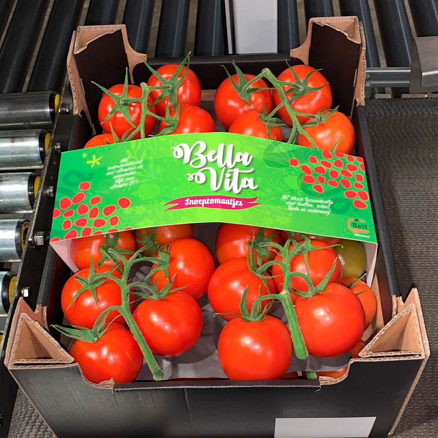VERPAKKING OP MAAT

Voor Tomatenkwekerij Van den Belt heeft Brainstorm een mooie wikkel op maat ontworpen. De frisse uitstraling staat prachtig bij deze glanzende, rode snoeptomaatjes. Geniet van deze verantwoorde en lekkere traktatie. 😋