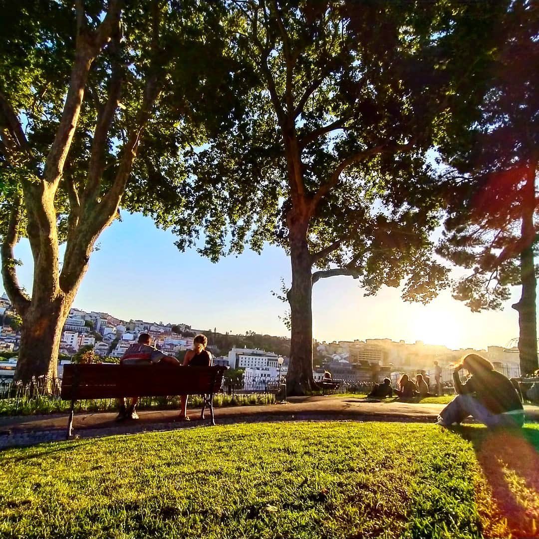visit_lisboa's tweet photo. The week ends easier dreaming of Lisboa's sunsets.

#StaySafe
📍 Jardim do Torel
📷 pedronrec https://t.co/8AsgJ3g31C
