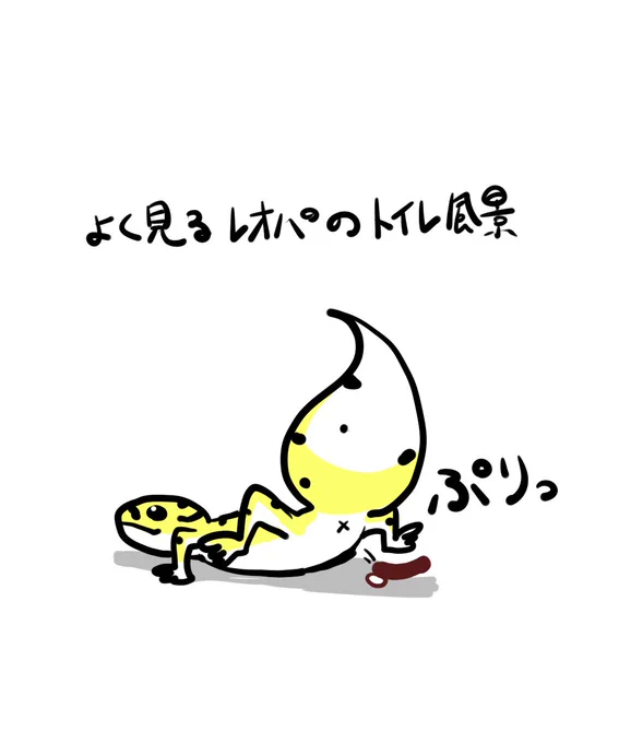 うちのレオパのおトイレがなかなか気合入ってるんですが、どこもこんな感じなんでしょうか?
必ずガラス面を汚すという揺るぎない信念を感じる…
#レオパードゲッコー
#ヒョウモントカゲモドキ
#レオパ 