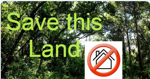 RhondaHendee's tweet photo. #SAVETHISLAND #DUNEDIN #PINELLAS no more development not in my neighborhood. I don't want to live in a concrete jungle. I want nature. That's why I chose where I live. It used to be quiet but more and more developing has lead to more noise and people. STOP!!!!!! https://t.co/1S4pXs5Q7B