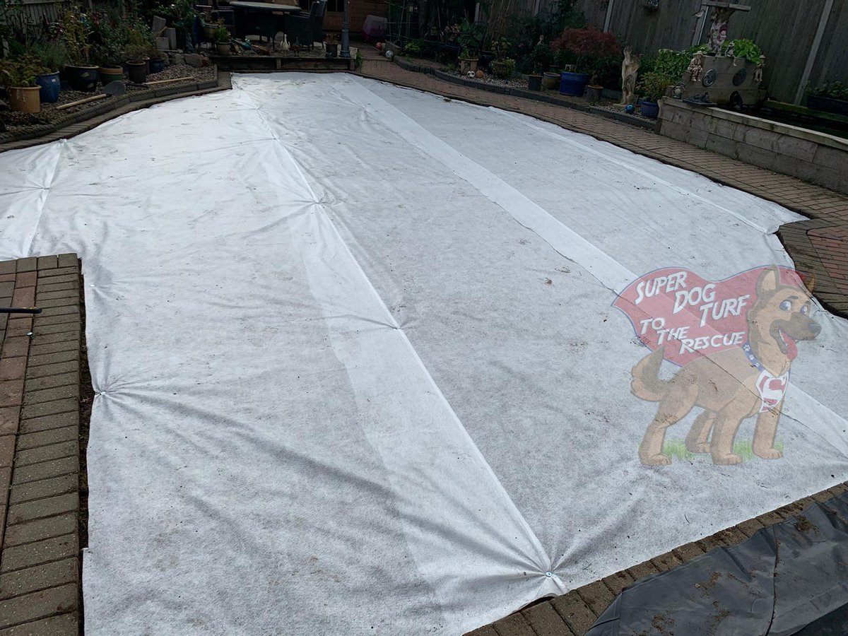 SuperDogTurf's tweet photo. Weed Control: Amazing transformation of a tired worn out muddy garden, ready for very happy dogs to use everyday, all year round #SuperDogTurf to the rescue again! https://t.co/DrG3HGUY35 https://t.co/2lWI2qSQYw