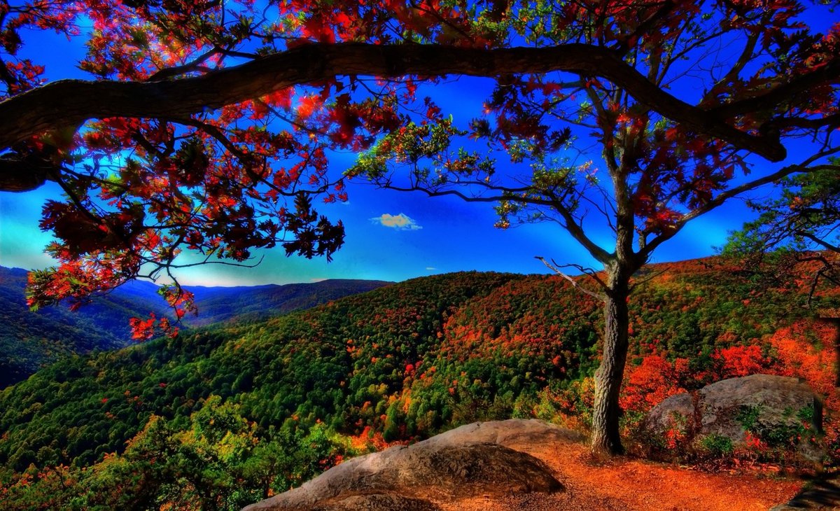giannis2221963's tweet photo. Smells of Autumn 🍁 https://t.co/qDBBVIwBgq