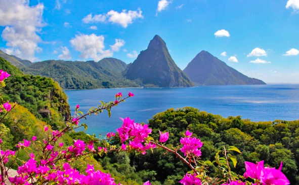 TheDomainSales's tweet photo. People Will be traveling soon!  Don't miss the opportunity to own this valuable Travel/Destination Domain Name.
https://t.co/kqZV0Q03PZ
#Domains #TheDomainSales #SaintLucia #Travel https://t.co/FNURiLe66Q