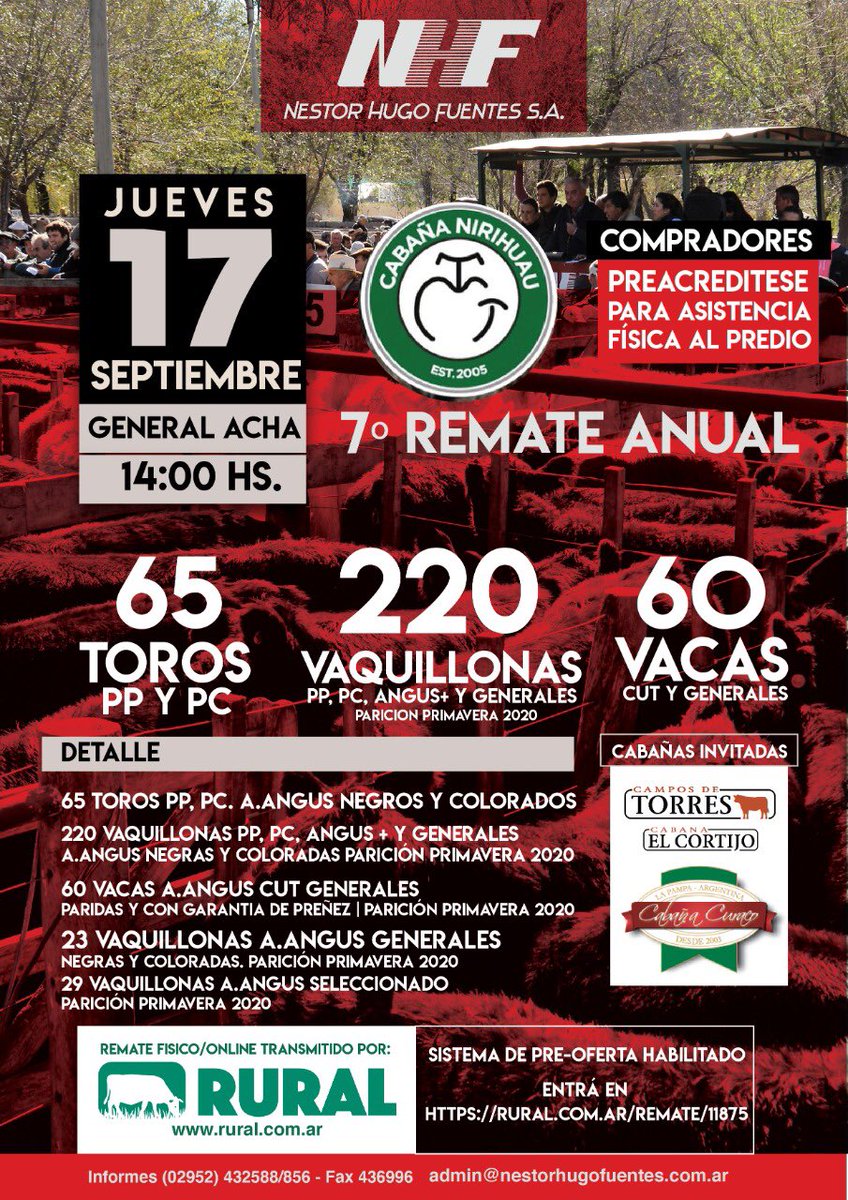 Grupo Curaco (@grupocuraco) on Twitter photo 