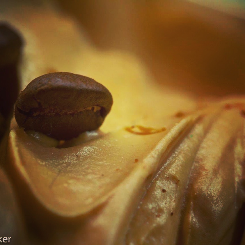 iscreamoxford's tweet photo. Our coffee gelato; a perfect blend of organic creaminess and punchy coffee with a generous sprinkling of coffee beans over the top... mmmmmm, just how we like it! 
#Coffee #IceCream #organicfood 
#Oxford @iscreamoxford @CoveredMarketOx https://t.co/PCd7vd3WCm