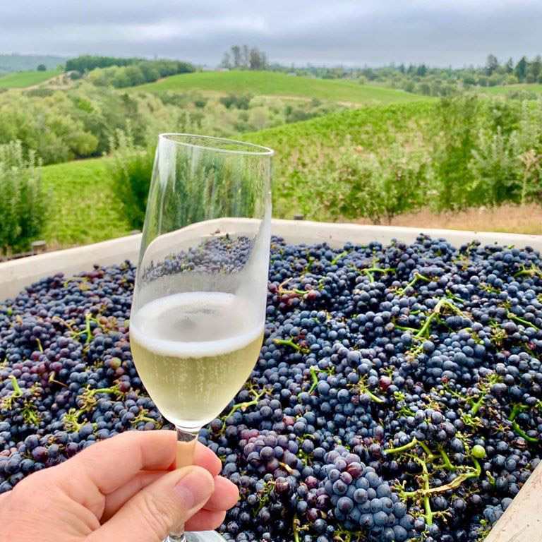 Toast the start of the holiday weekend with bubbles. #fruitofourlabor #vintage2020 #wineiscommunity