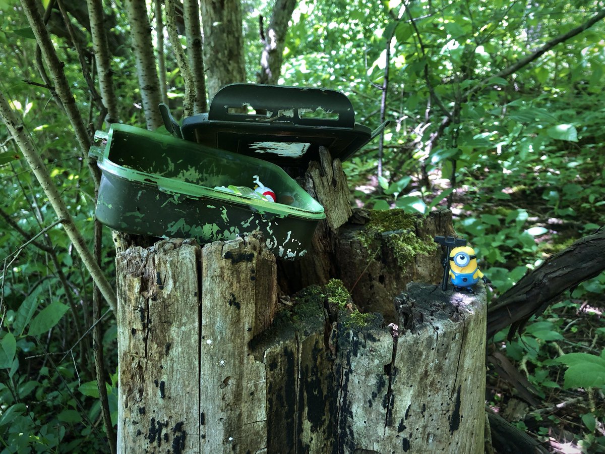 CacheTheLine's tweet photo. A minion’s job is never done!
Unfortunately I didn’t have a banana to give to thank him for all his hard work. Whatever it is.
#Thingsingeocaches #geocaching https://t.co/frya7Vxptw