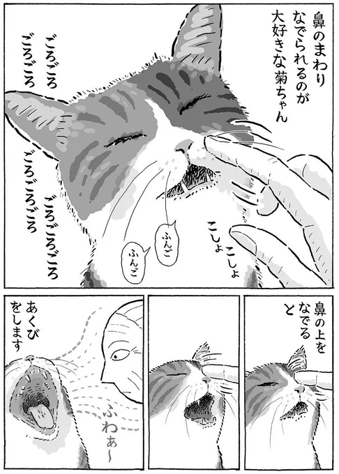 @ZEPHYRANTHESfb 見てくださりありがとうございます。
あくびしますよね!
前に描いたものですがこんな感じでクワァっとします 