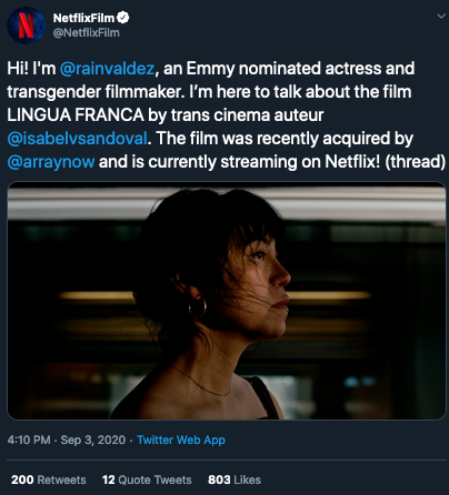 Troonflix once again inviting yet another troon to write about yet another troon's movie about the struggles of being a homosexual illegal immigrant in DRUMPF'S America.